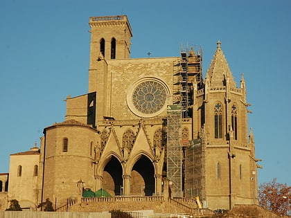 Colegiata Basílica de Santa María de la Aurora