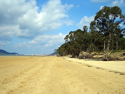 playa del regaton parque natural de las marismas de santona victoria y joyel