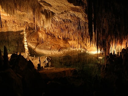 grottes du drach majorque