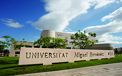 miguel hernandez university of elche elx