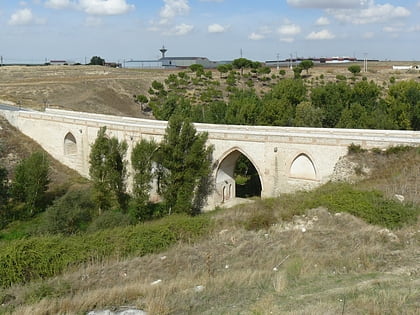 puente de medina arevalo