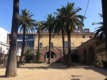 museu de la mediterrania torroella de montgri
