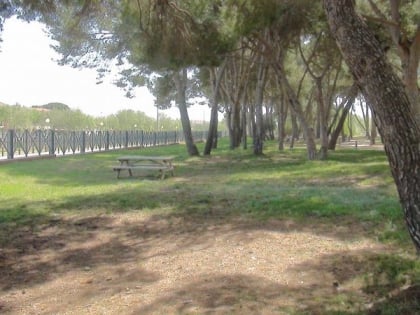 have a picnic in the pinaret park cambrils