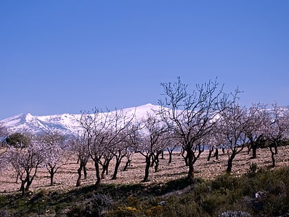 pico del caballo park narodowy sierra nevada