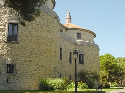 castle of villaviciosa de odon madrid