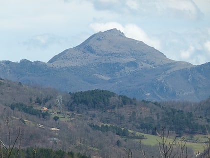 puig de coma negra