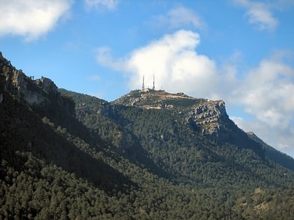 Monte Caro