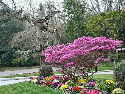 arboretum of lourizan pontevedra