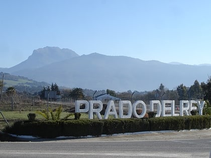 Prado del Rey