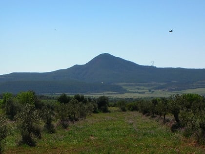 Pico de Montmaneu