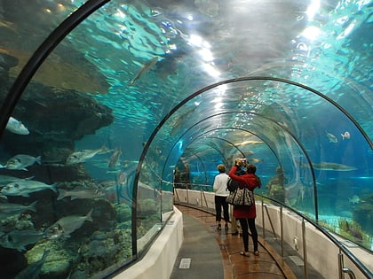 aquarium barcelona