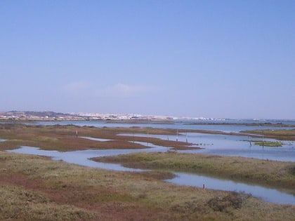 Parque natural de la Bahía de Cádiz