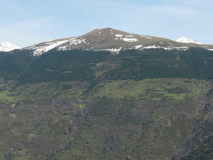 puig cerveris