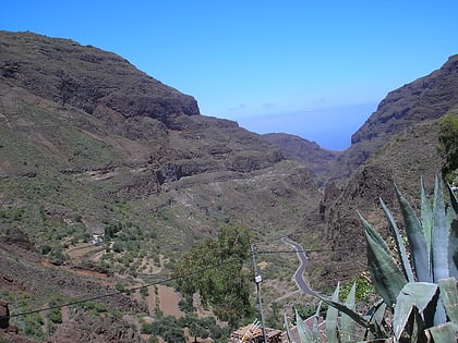 guayadeque ravine gran canaria