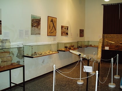 museo arqueologico municipal de el puerto de santa maria el puerto de santa maria