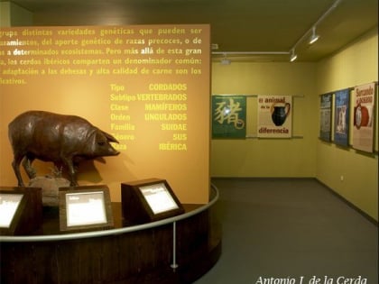 museo del jamon parc naturel de la sierra de aracena et des pics daroche