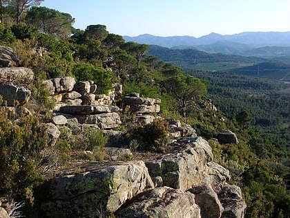 paraje natural municipal la dehesa de soneja