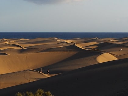 dunes de maspalomas playa del ingles