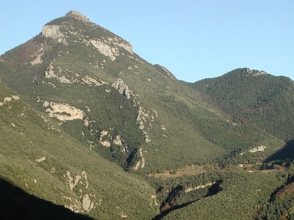 Puig de Bassegoda