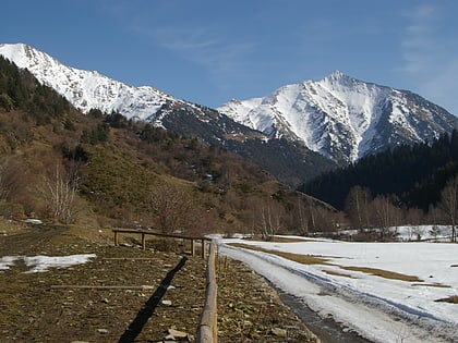 alt pirineu natural park