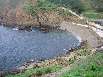 Playa El Desnarigado