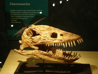 Jurassic Museum of Asturias