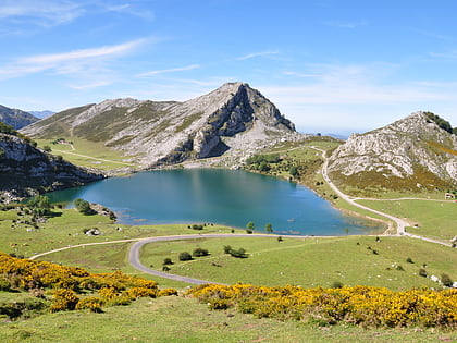 lago enol parque nacional de picos de europa