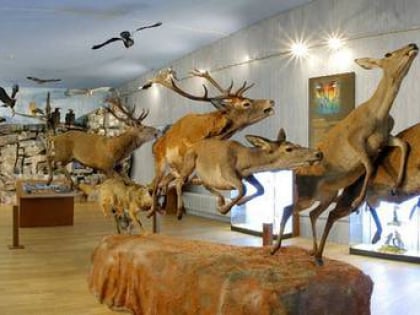 Museo de la naturaleza Valle del Alberche