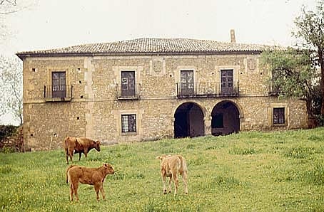 palacio del rebollin norena