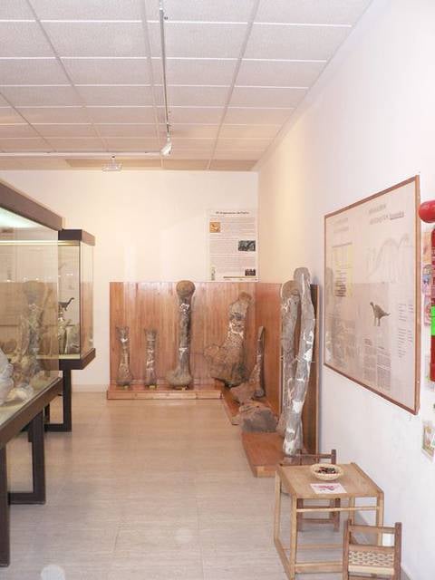 muzeum paleontologiczne galve