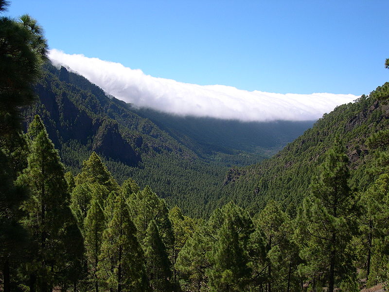 Park Narodowy Caldera de Taburiente