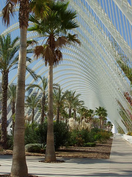 L'Umbracle