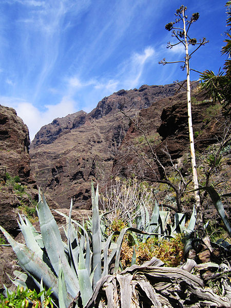 Barranco de Masca