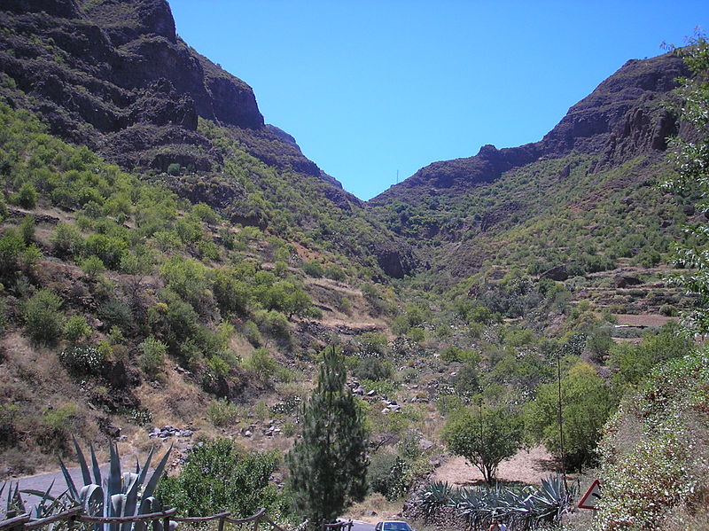 Guayadeque ravine