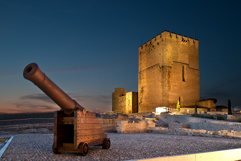 Forteresse de La Mota