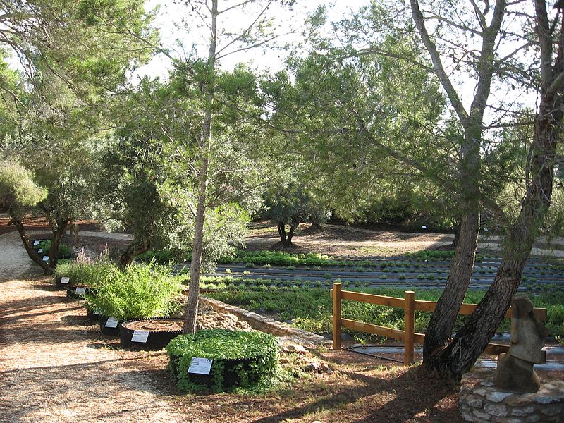 Jardín botánico Ecoherbes Park