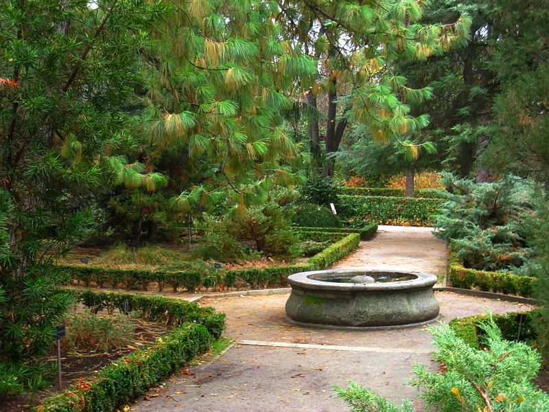 Królewski Ogród Botaniczny
