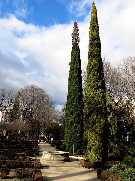 Jardin botanique royal de Madrid