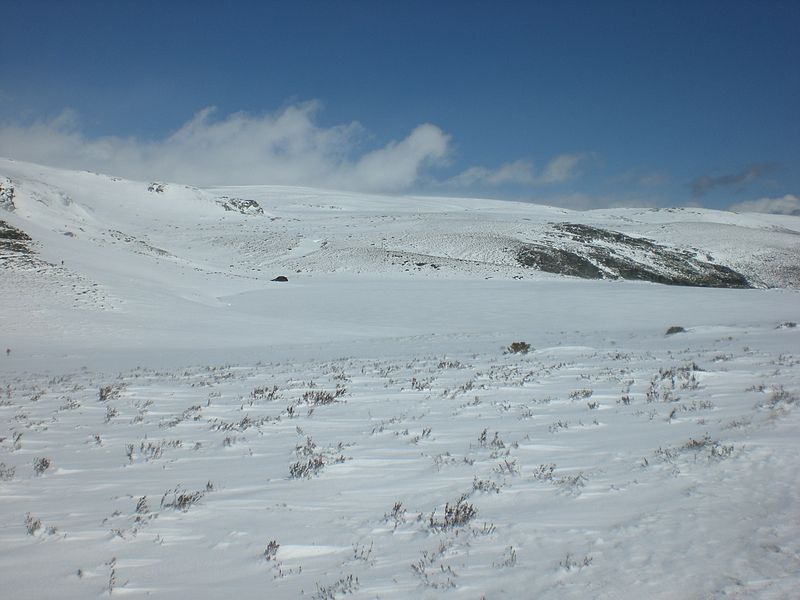 Laguna de los Peces