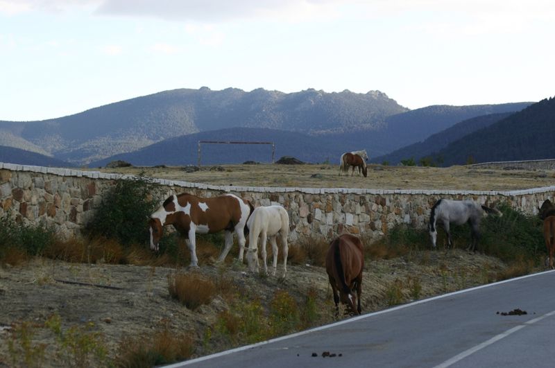 Sierra de Guadarrama