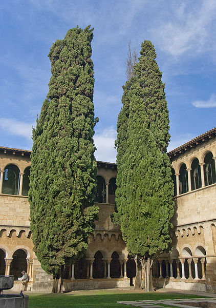 Kloster Sant Cugat del Vallès