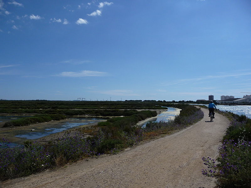 Parque natural de la Bahía de Cádiz