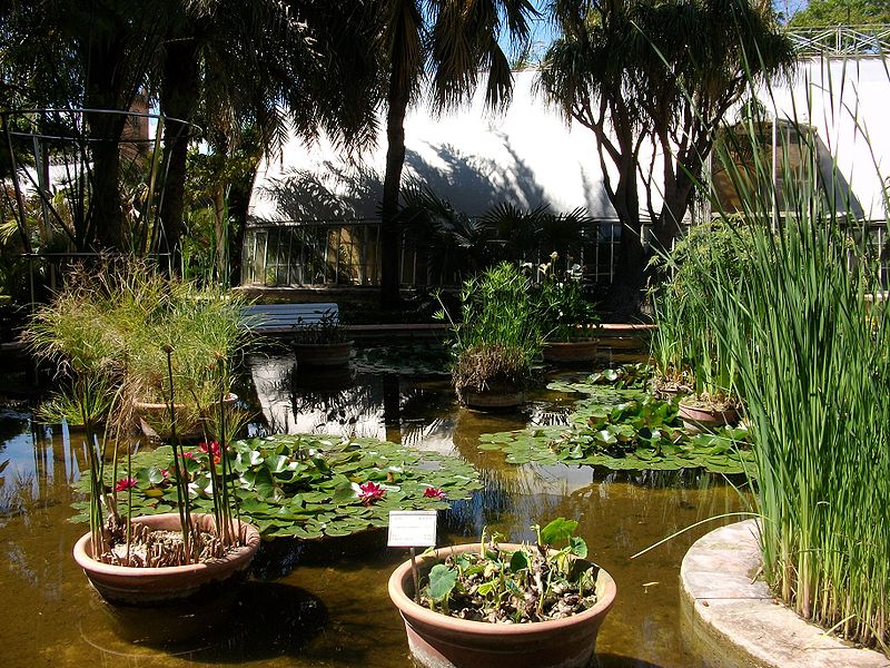 Botanical Garden of Valencia