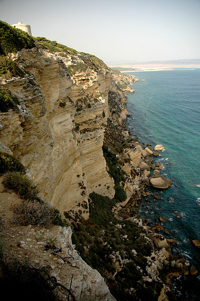 Parque natural de La Breña y Marismas del Barbate