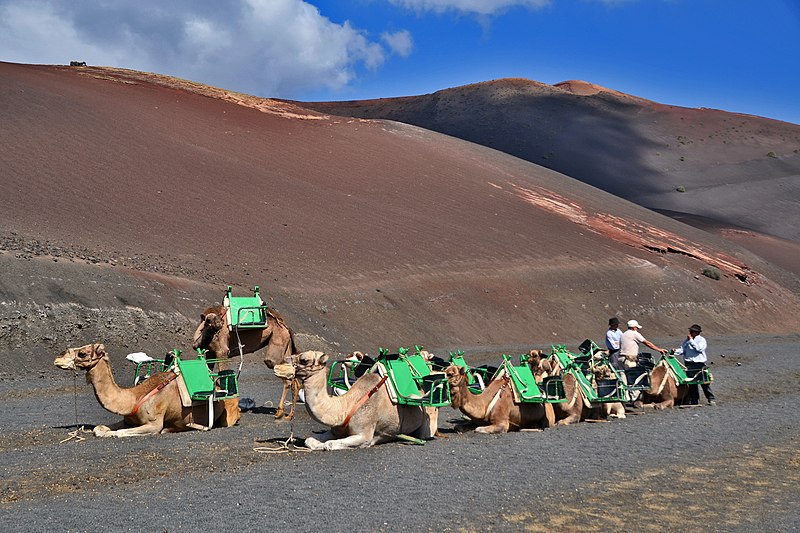 Park Narodowy Timanfaya