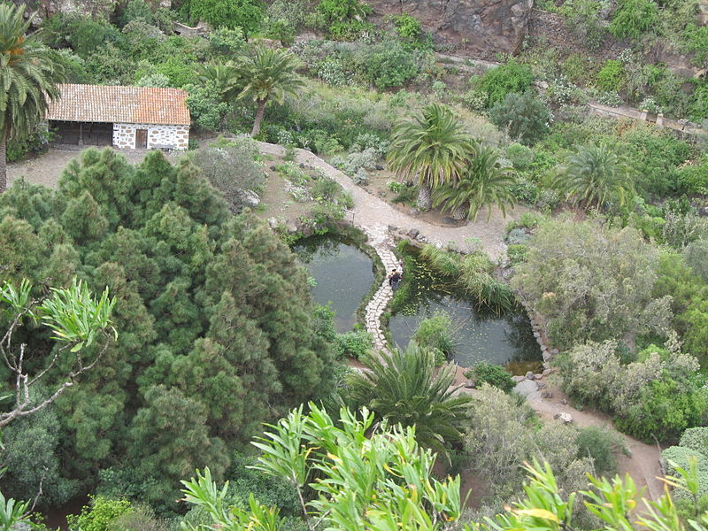 Jardín botánico Viera y Clavijo