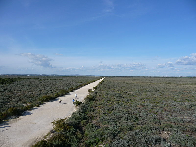 Bahía de Cádiz Natural Park