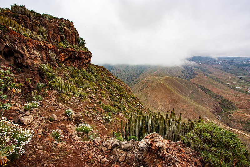 Roque del Conde