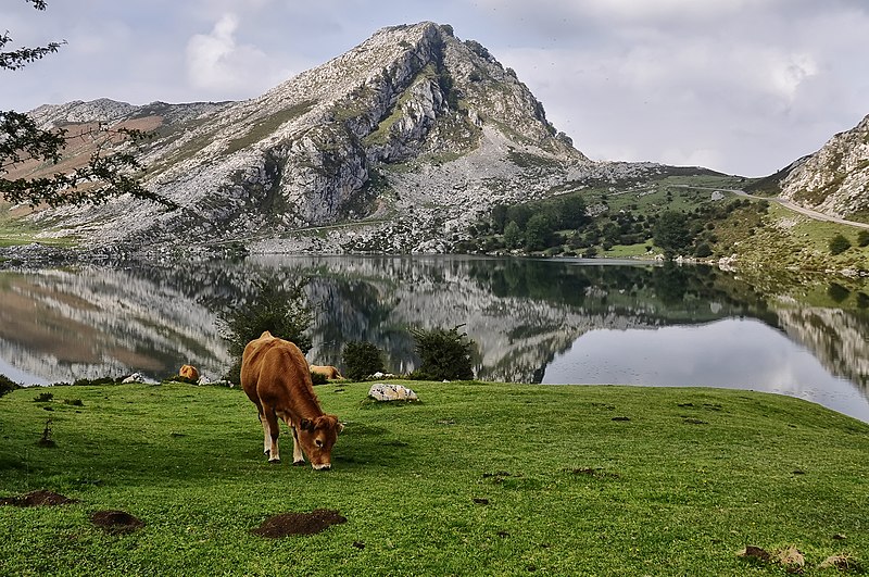 Lakes of Covadonga