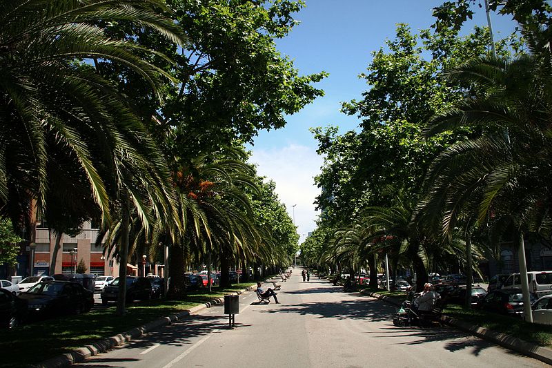 Avenue Diagonale